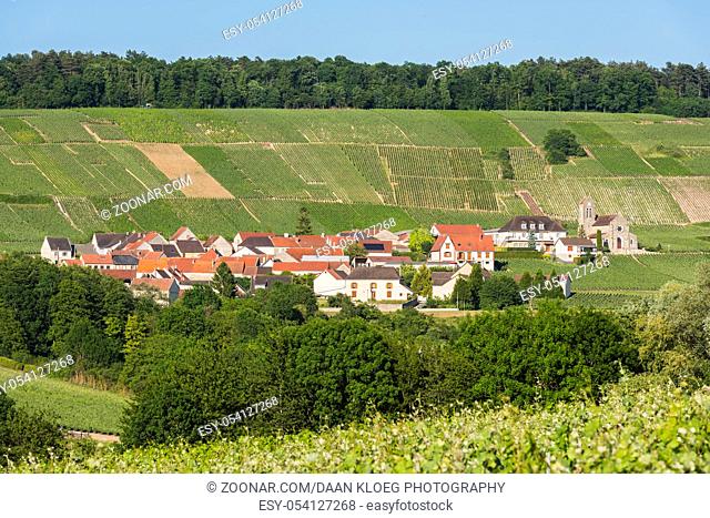 The small village of Leuvrigny in Champagne near Epernay with vineyards, France