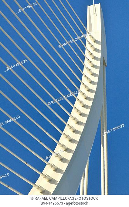 Assut de l'Or bridge detail in the City of Arts and Sciences by Santiago Calatrava, Valencia. Comunidad Valenciana, Spain