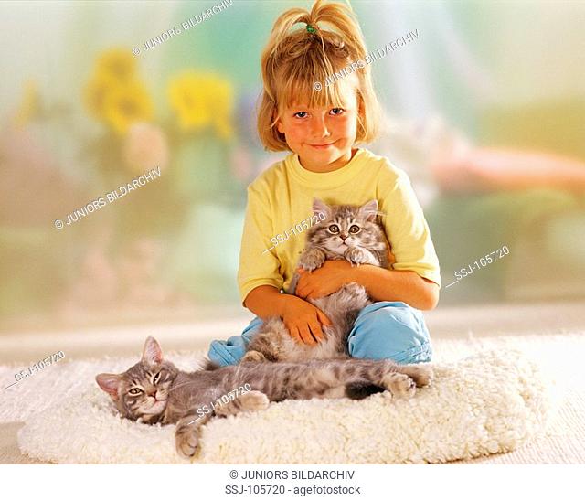 girl with two kitten - british shorthair mix