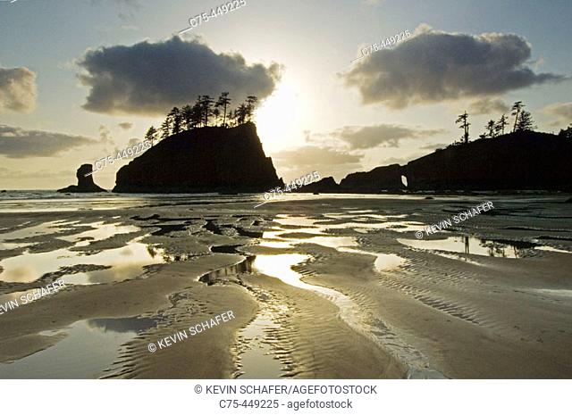 Natural Arch and offshore stack. Coastline near La Push. Olympic National Park. Washington. USA