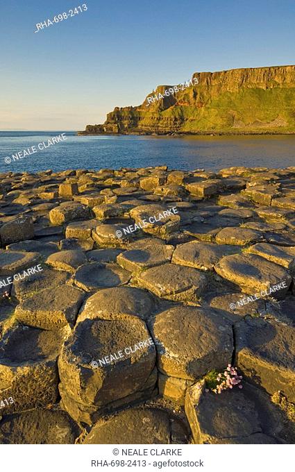 Hexagonal basalt columns of the Giant's Causeway, UNESCO World Heritage Site and Area of Special Scientific Interest, near Bushmills, County Antrim, Ulster