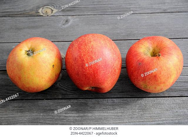 Apfel-Sorte Mairac, Synonym La Flamboyante