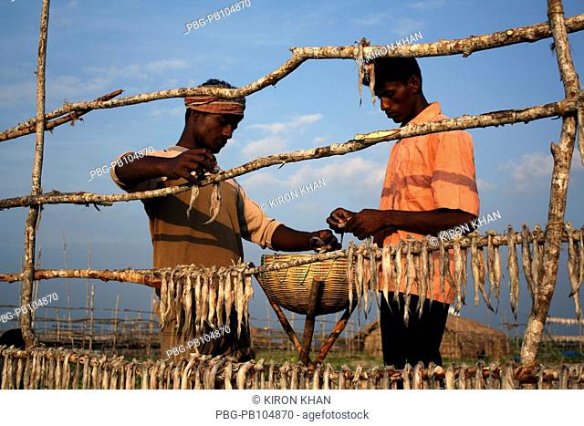 Fishermen placing fishes for drying, at Dublar Char, an island located at the southern boarder of the Sundarban, facing the Bay of Bengal November, 2009
