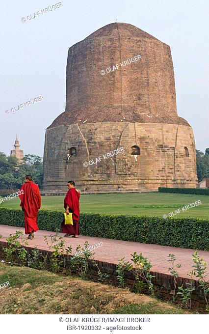 Monks in front of the Dhamek Stupa, Buddhist holy place Sarnath, Uttar Pradesh, India, Asia
