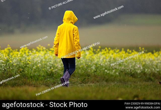 29 August 2023, Baden-Württemberg, Riedlingen: A girl in a yellow raincoat walks past a field of mustard in bloom. Photo: Thomas Warnack/dpa