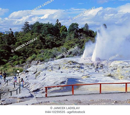 10259535, volcanism, geyser, Pohutu geyser, sidewalk, outbreak, visitor, railing, trees, New Zealand, Whakarewarewa, thermal are