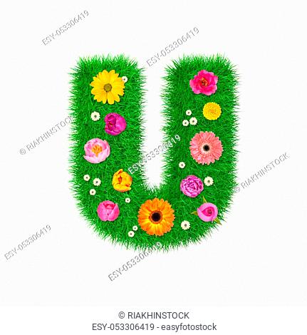 Letter U made of grass and colorful flowers, spring concept for graphic design collage