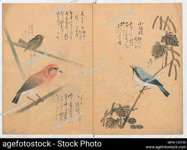 Kotori Ruisho/A Compendium of Small Birds. Artist: Nanto (active early 19th century); Period: Edo period (1615-1868); Date: 1836; Culture: Japan; Medium:...