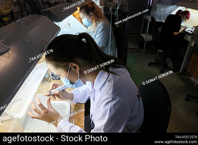 RUSSIA, YEKATERINBURG - DECEMBER 6, 2023: A woman carves a dragon from a single piece of quartz at the Moiseikin jewellery house; the Chinese calendar names...