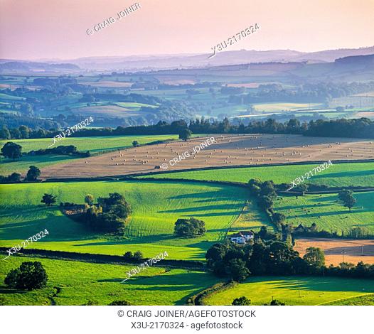 Evening light over the Brendon Hills viewed from Thorncombe Hill in the Quantock Hills near Bicknoller and Crowcombe, Somerset, England, United Kingdom