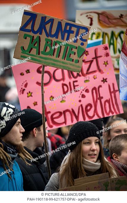 18 January 2019, Baden-Wuerttemberg, Stuttgart: Demonstrators hold signs in their hands during a demonstration by pupils against climate change