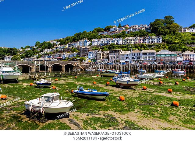 Fishing boats and sailing yachts moored in Looe harbour during low tide, Cornwall, England, United Kingdom, Europe