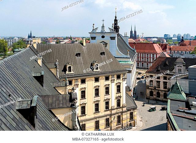 Poland, Wroclaw, old town, University, view from the Mathematical Tower