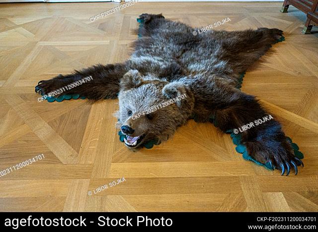A hunting trophy, brown bear, Ursus arctos, on the floor in Dukovany Chateau, Trebic region, Czech Republic, October 21, 2023 (CTK Photo/Libor Sojka)
