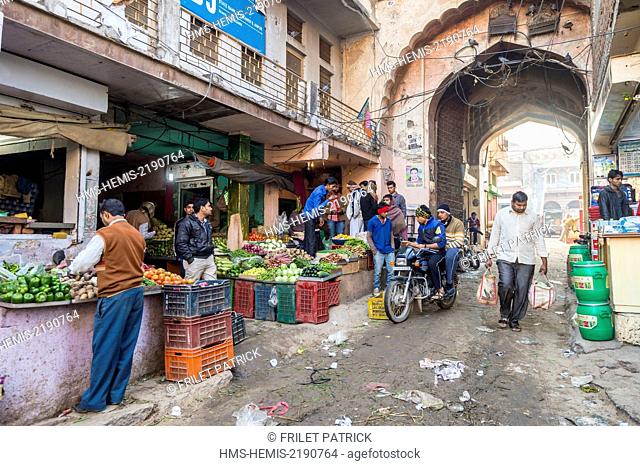 India, Rajasthan state, Shekhawati region, Nawalgar, the market