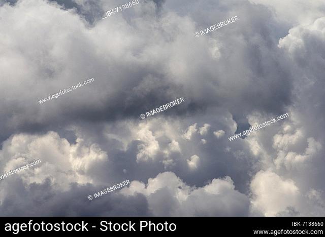 Cumulus cloud (Cumulus), Bavaria, Germany, Europe
