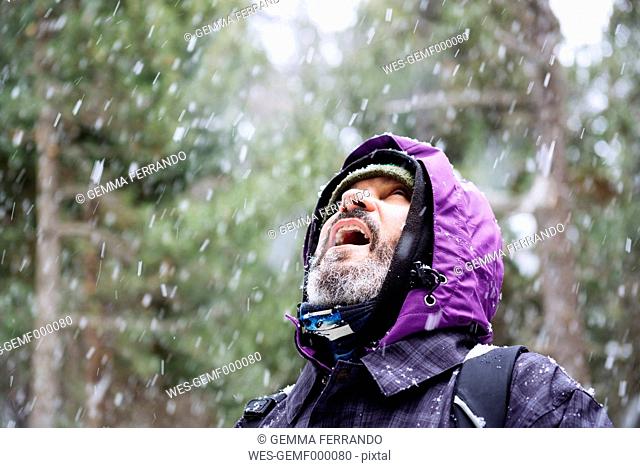Bearded man looking up in the forest while snowing
