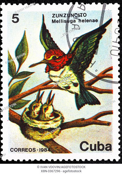 Bee Hummingbird, Zunzuncito, Mellisuga helenae, postage stamp, Cuba, 1984
