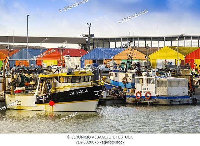 Port Atlantique, trade port, fishing boats. La Rochelle. Poiteau. Charente-Maritime. France
