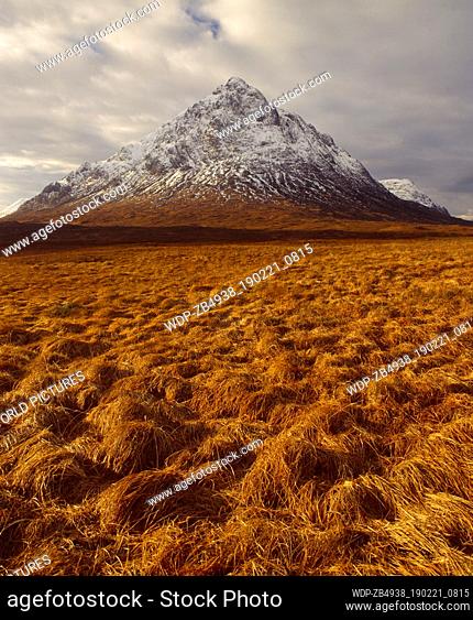 Scotland, Highland, Lochaber, Buachaille Etive Mor. This mountain stands at the head of both Glen Coe and Glen Etive and on the edge of Rannoch Moor