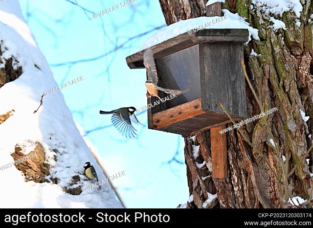 Bird feeder in snowy garden at the Lednice Castle, Breclav region, Czech Republic, December 3, 2023. (CTK Photo/Vaclav Salek)