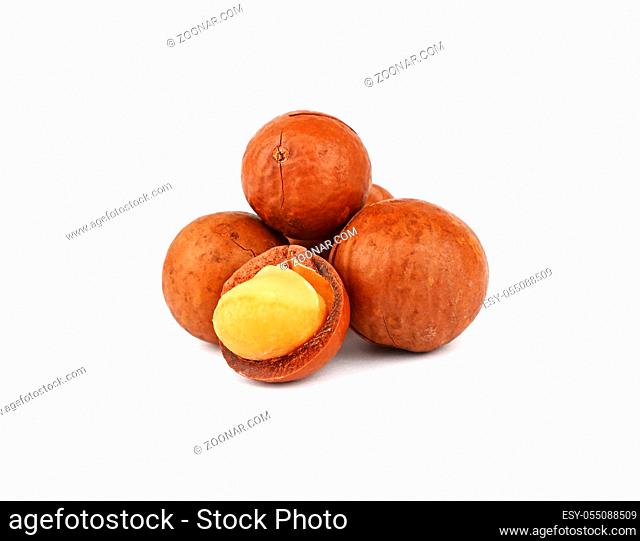 Close up group of several unshelled macadamia nuts and one open kernel isolated on white background, low angle side view