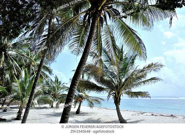 Wonderful places at the Indian Ocean with sandy beach and palms, Mombasa, Kenya