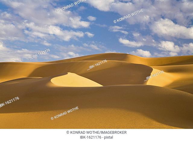 Sand dunes in the Libyan Desert, Sahara, Libya, North Africa, Africa