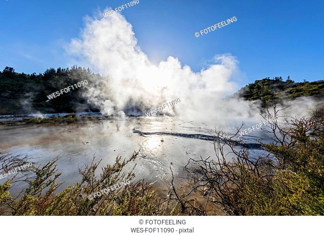 Orakei Korako Geothermal Park, Taupo Volcanic Zone, North Island, New Zealand