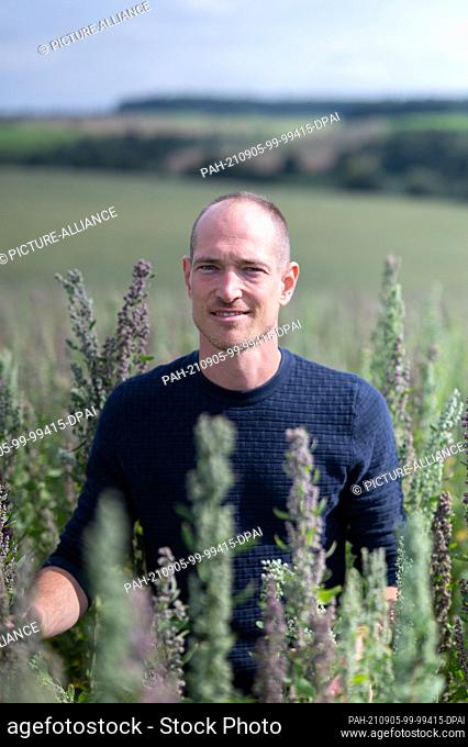 31 August 2021, Hessen, Ober-Ramstadt: Farmer Mario Schuchmann stands in his quinoa field. The pseudo-cereal quinoa belongs to the foxtail family and is...