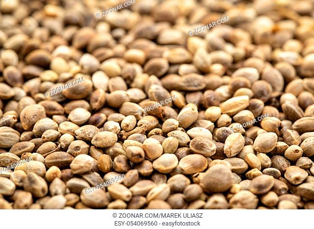 background of organic dried hemp seeds with a selective focus