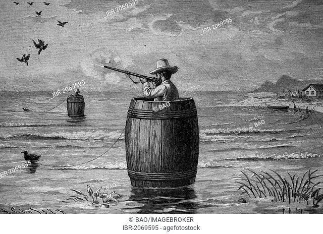 Duck shooting with a decoy duck in Veneto, Italy, woodcut 1888