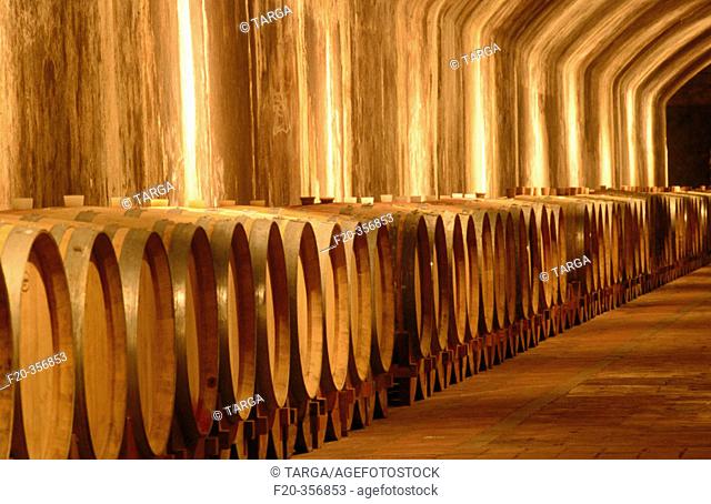 Wine cellars, castle of Spessa. Capriva del Friuli. Friuli-Venezia Giulia, Italy