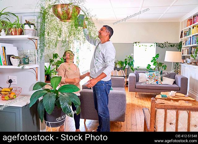 Mature couple watering hanging houseplant