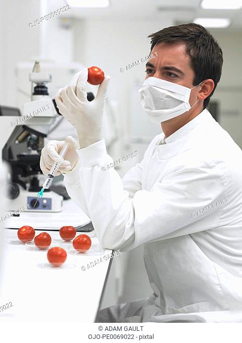 Scientist holding syringe and tomato