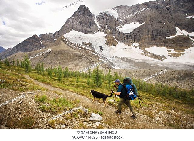 Hiker and dog, Tumbling Pass, the Rockwall Trail, Kootenay National Park, British Columbia, Canada