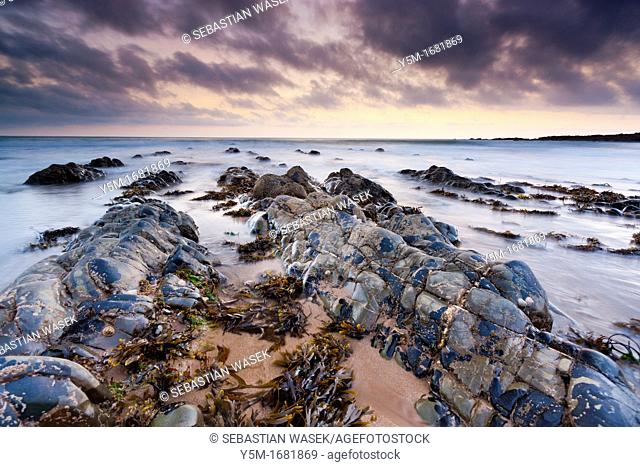 The rocky shores of Hartland Quay in North Devon, England, United Kingdom, Europe