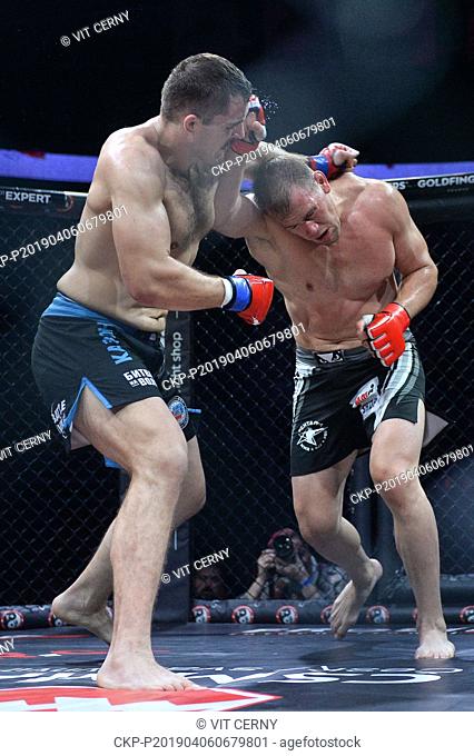 Czech MMA fighter Viktor Pesta (right) fights with Croatian fighter Ivan Vitasovic during the Night of Warriors gala evening on April 6, 2019, in Liberec