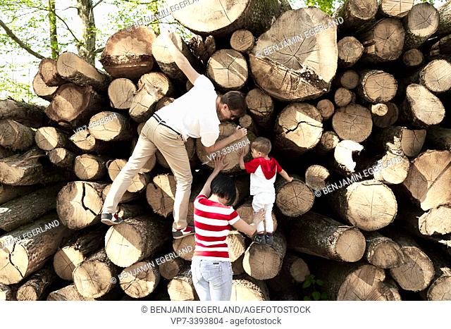 parents with toddler exploring forest, climbing on log pile, at Herrenchiemsee, Chiemsee, Bavaria, Germany
