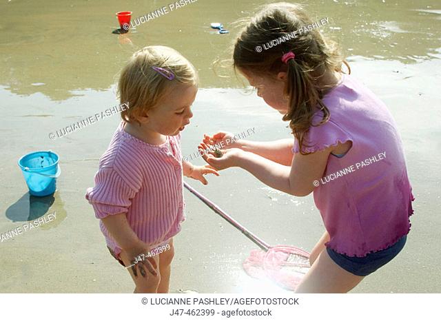 3 year old girl and 18 month old baby girl, on the beach looking at a crab that they've found