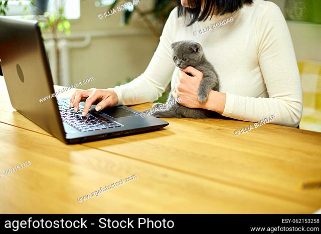 Unrecognizable hand Woman searching vet website on laptop to register cat kitten for veterinary consultation, Freelancer female working from home