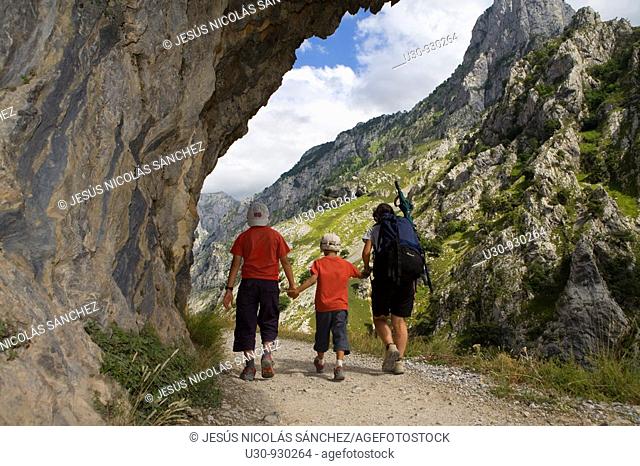 Family of hikers walking along the route of the Cares Canyon, in the Picos de Europa National Park, between the Urrieles and Ándara massifs, Poncebos, Cantabria