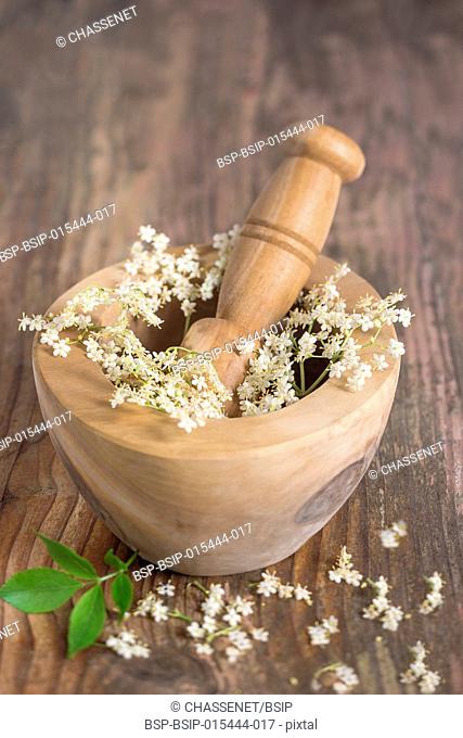 White elder flowers on a wooden mortar