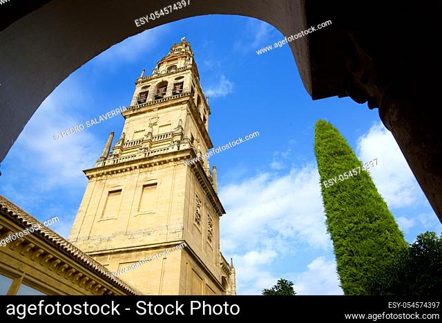 View of the tower of Cordoba Mosque in Spain
