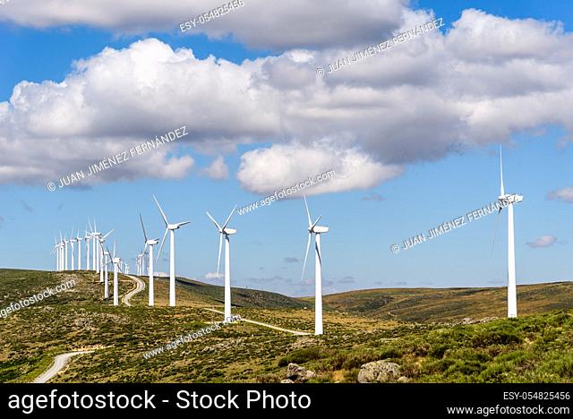 Wind turbines generating electricity on hill against blue sky with white clouds. Concept eco clean energy production, renewable energy