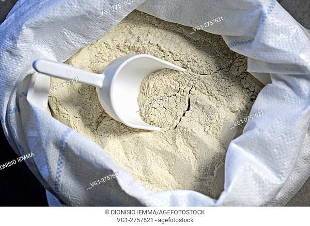 wheat flour Senatore Cappelli