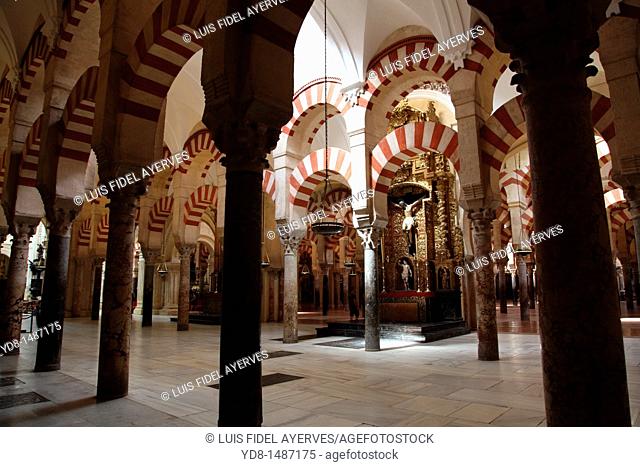 Columns Inside the Mosque of Cordoba, Spain