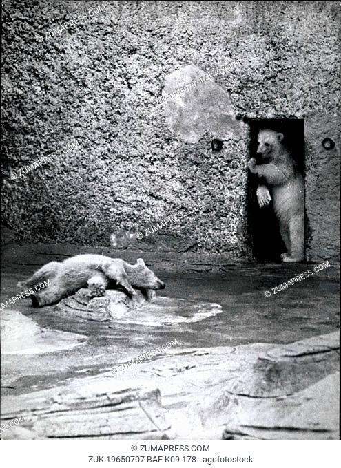 Jul. 07, 1965 - Two Polar bears from Moscow arrive at the London Zoo: Making their debut at the London Zoo were two Russian Polar bear cubs
