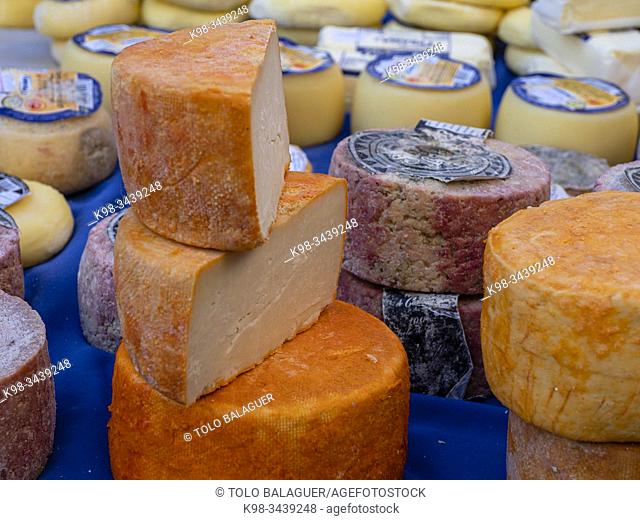 Tortucas, queso tipico cantabro, Cabezón de la Sal, comarca Saja-Nansa, Cantabria, Spain