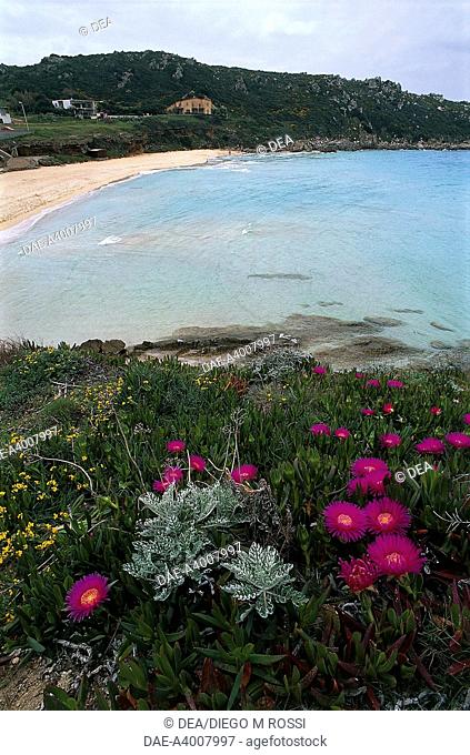 Italy - Sardinia Region - Santa Teresa di Gallura (Province of Sassari). Rena Bianca beach